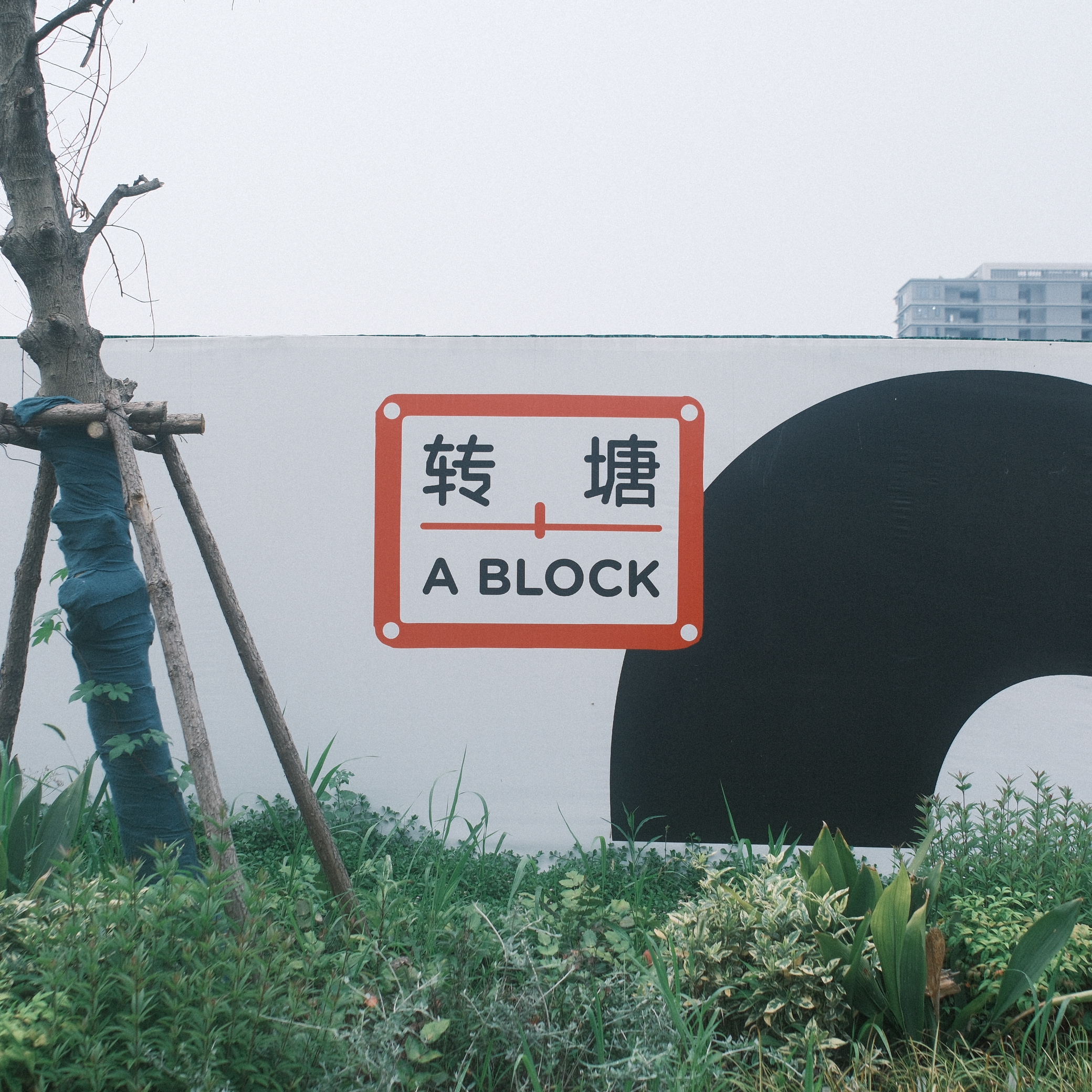 摄影照片