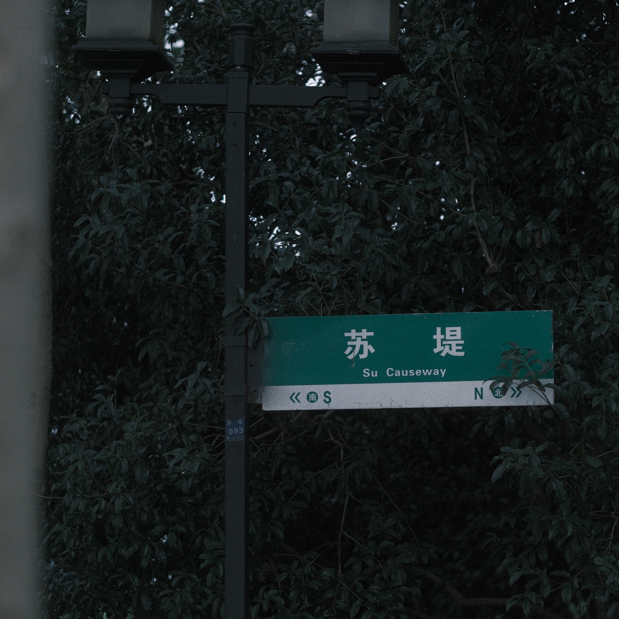 摄影照片