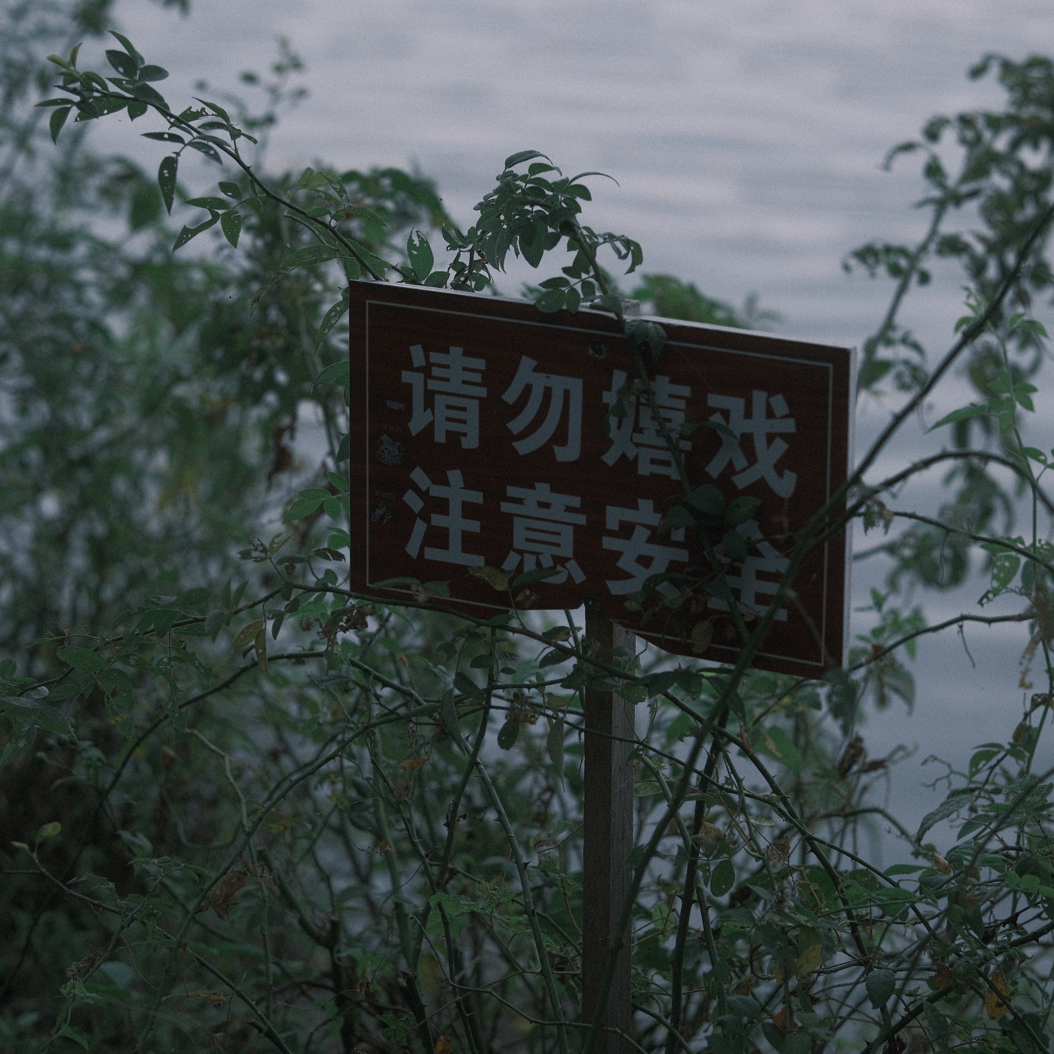 摄影照片