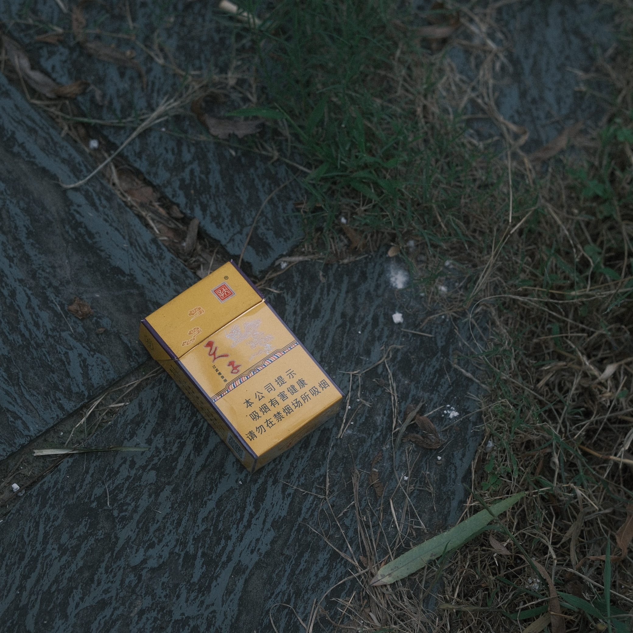 摄影照片