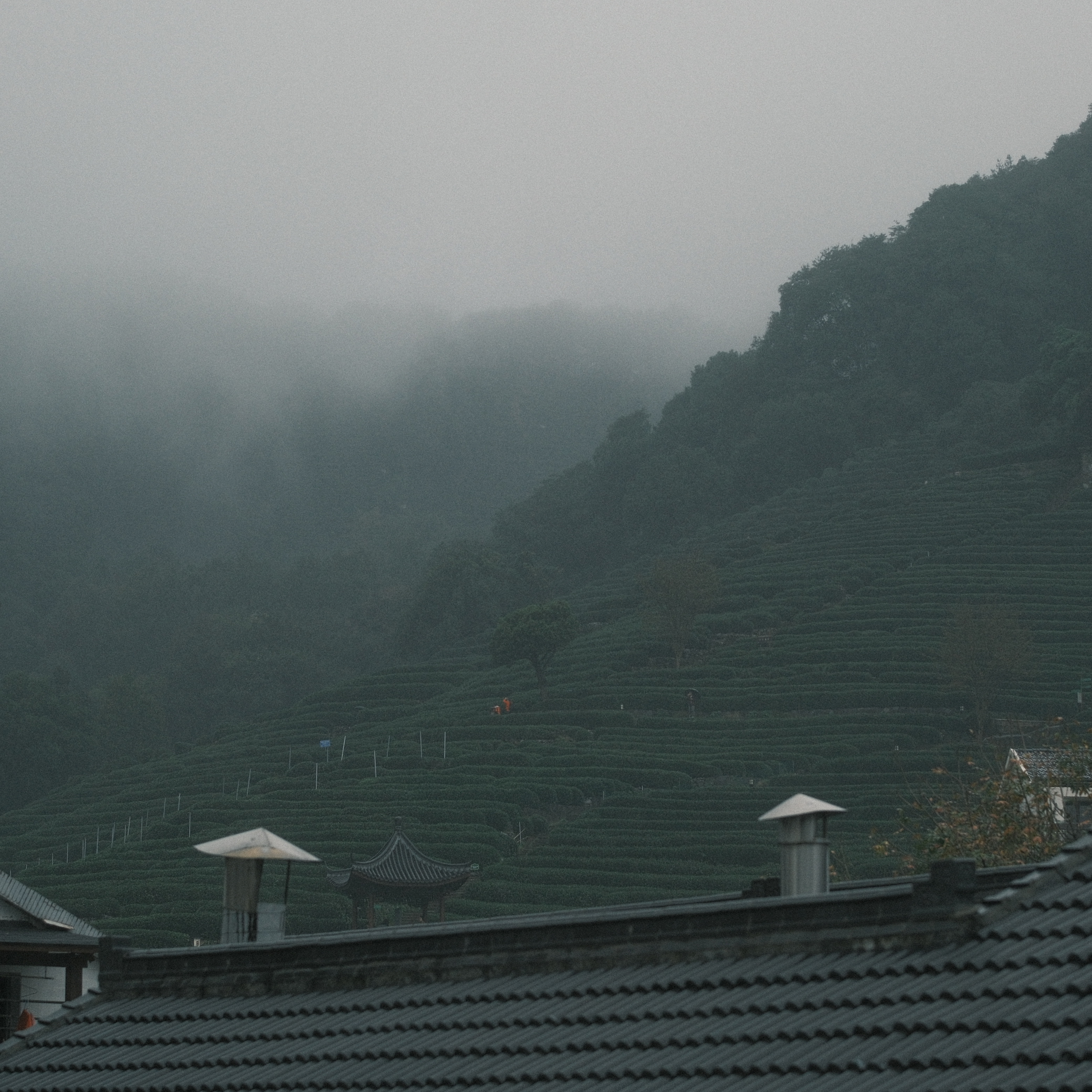 摄影照片