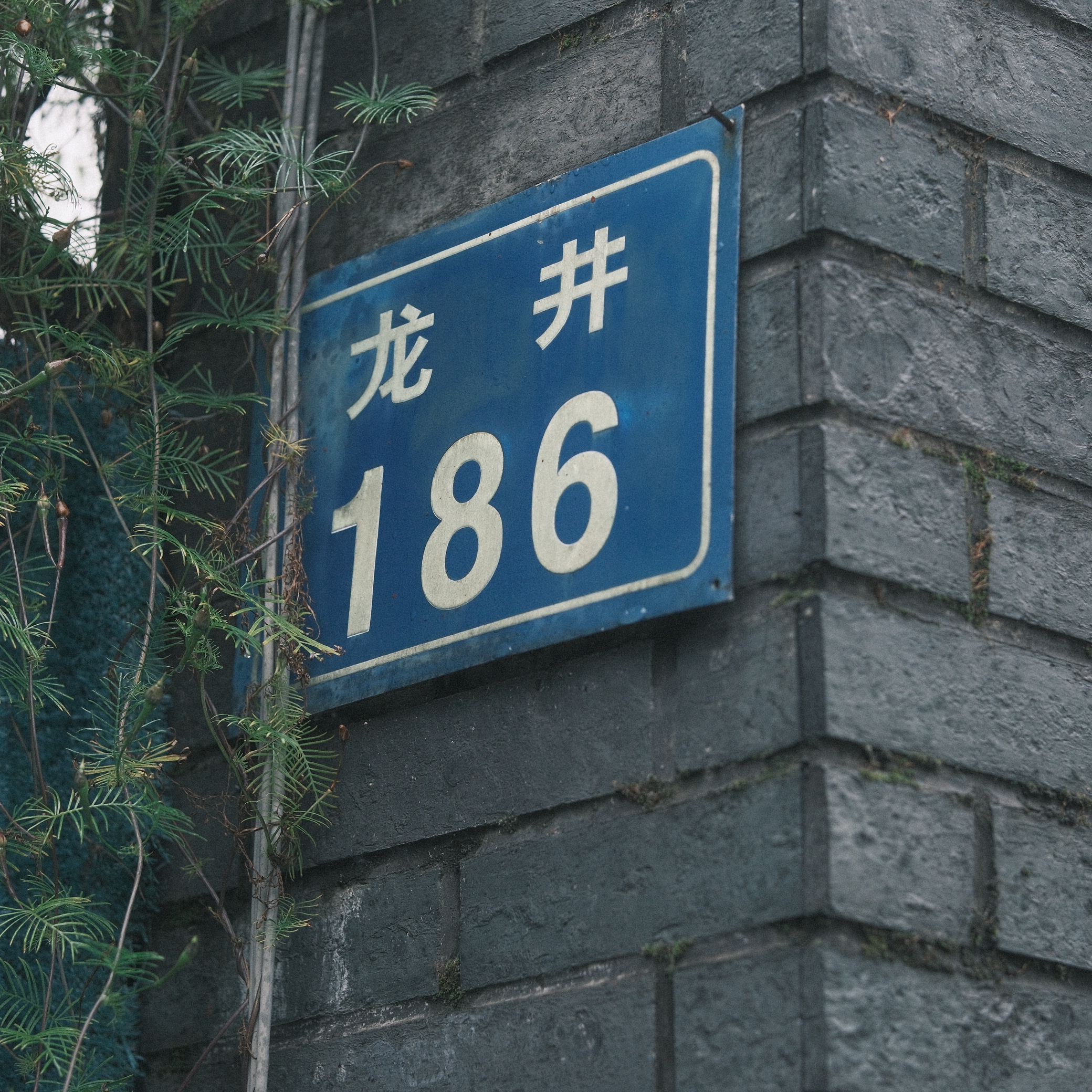 摄影照片