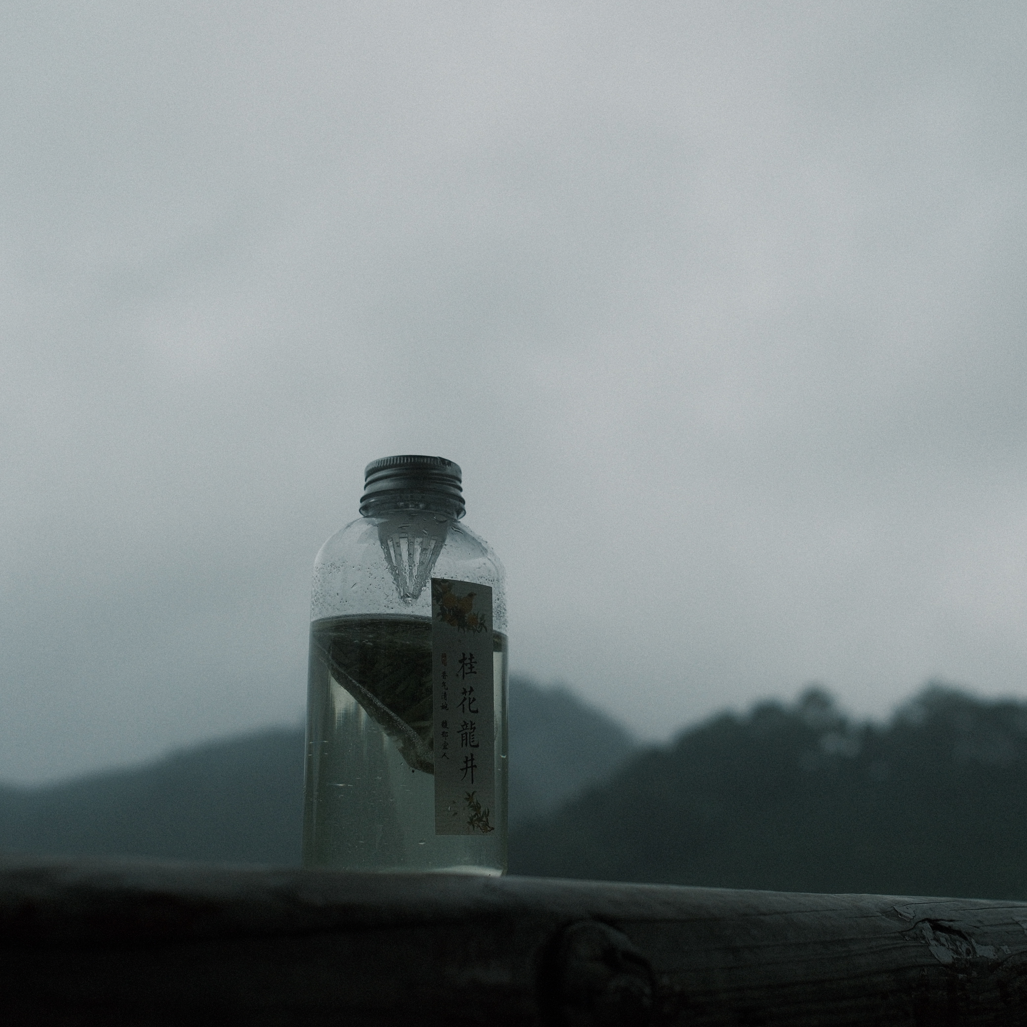 摄影照片